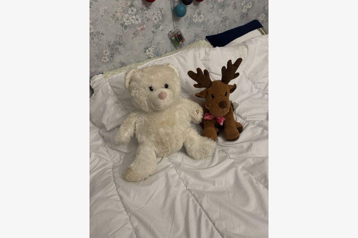 Photo 1 Lot peluche enfant 
