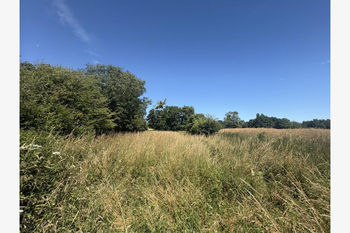 Photo 1 BREHAL, terrain agricole de 1 550 m²
