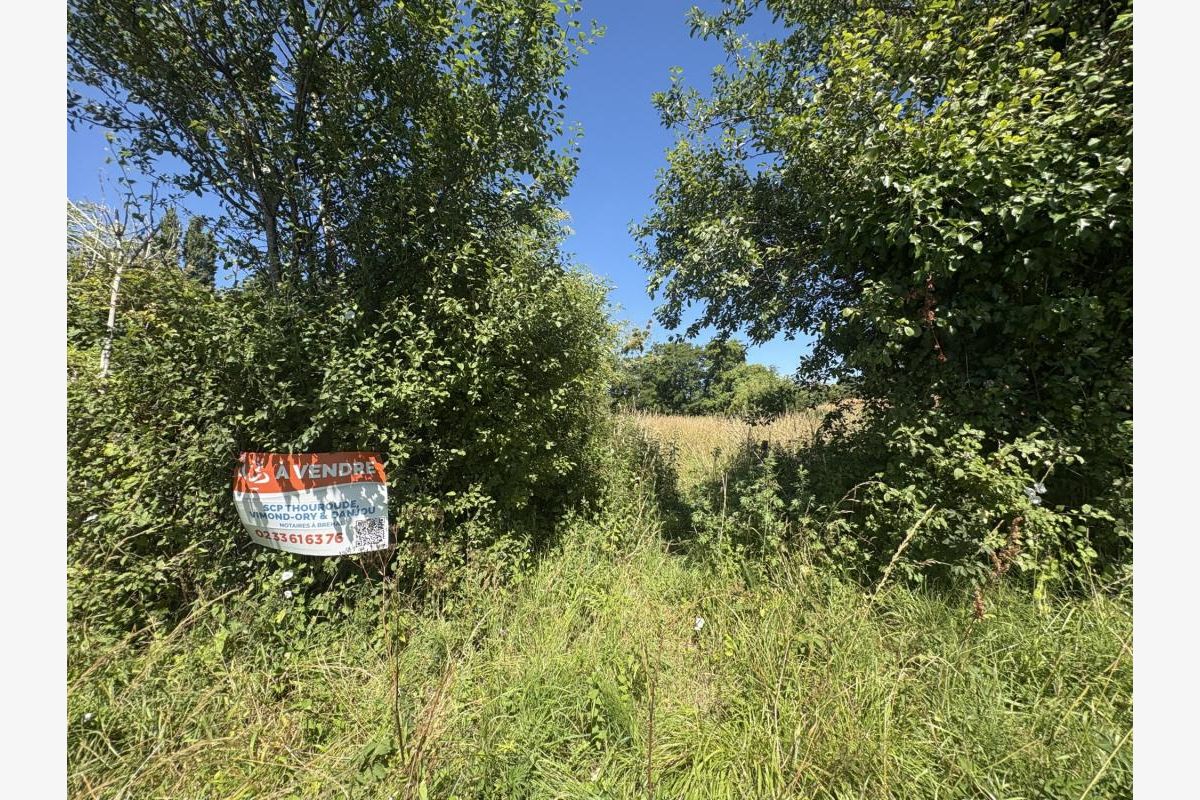 BREHAL, terrain agricole de 1 550 m² - 30248097_1.jpg