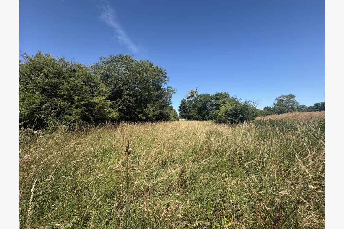 BREHAL, terrain agricole de 1 550 m² - 30248097_2.jpg