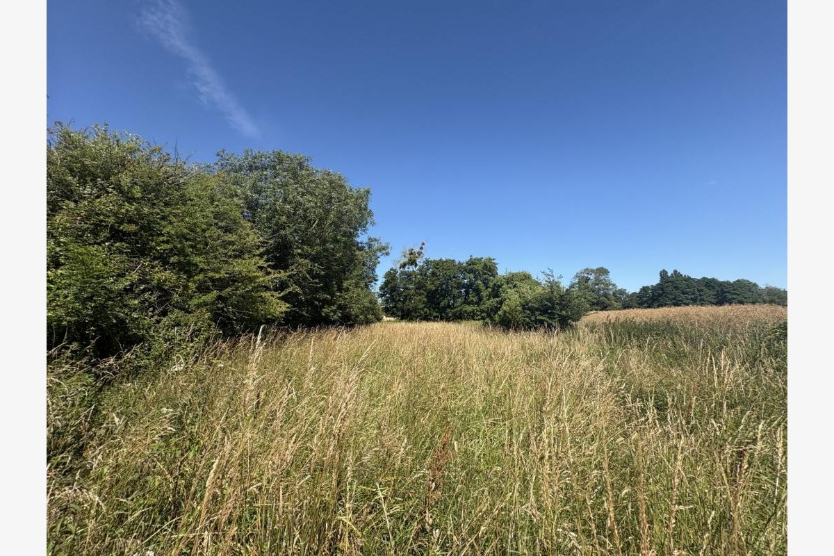 BREHAL, terrain agricole de 1 550 m² - 30248097_4.jpg