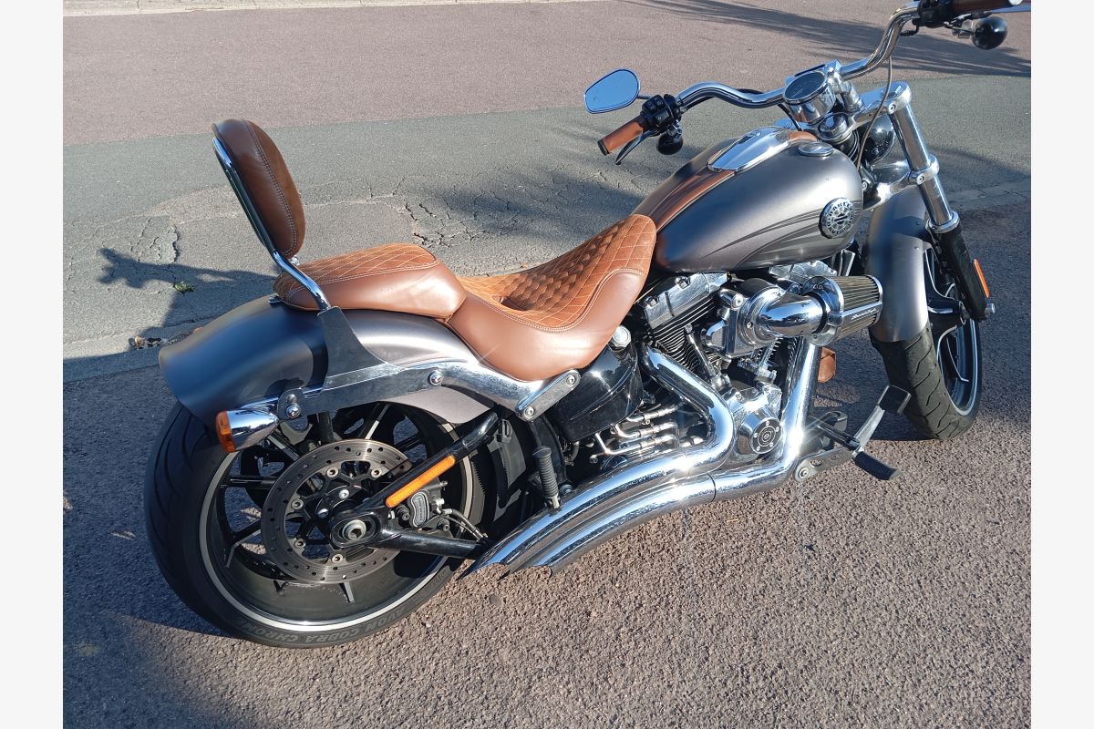 HARLEY DAVIDSON BREAKOUT STAGE 3 - 30248205_a8f5aa7558fed5de0cc9079ff4f67a4d.jpg