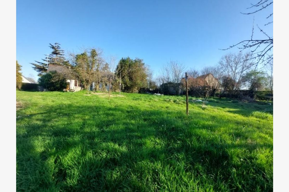MUNEVILLE SUR MER Terrain constructible - 30249346_1.jpg