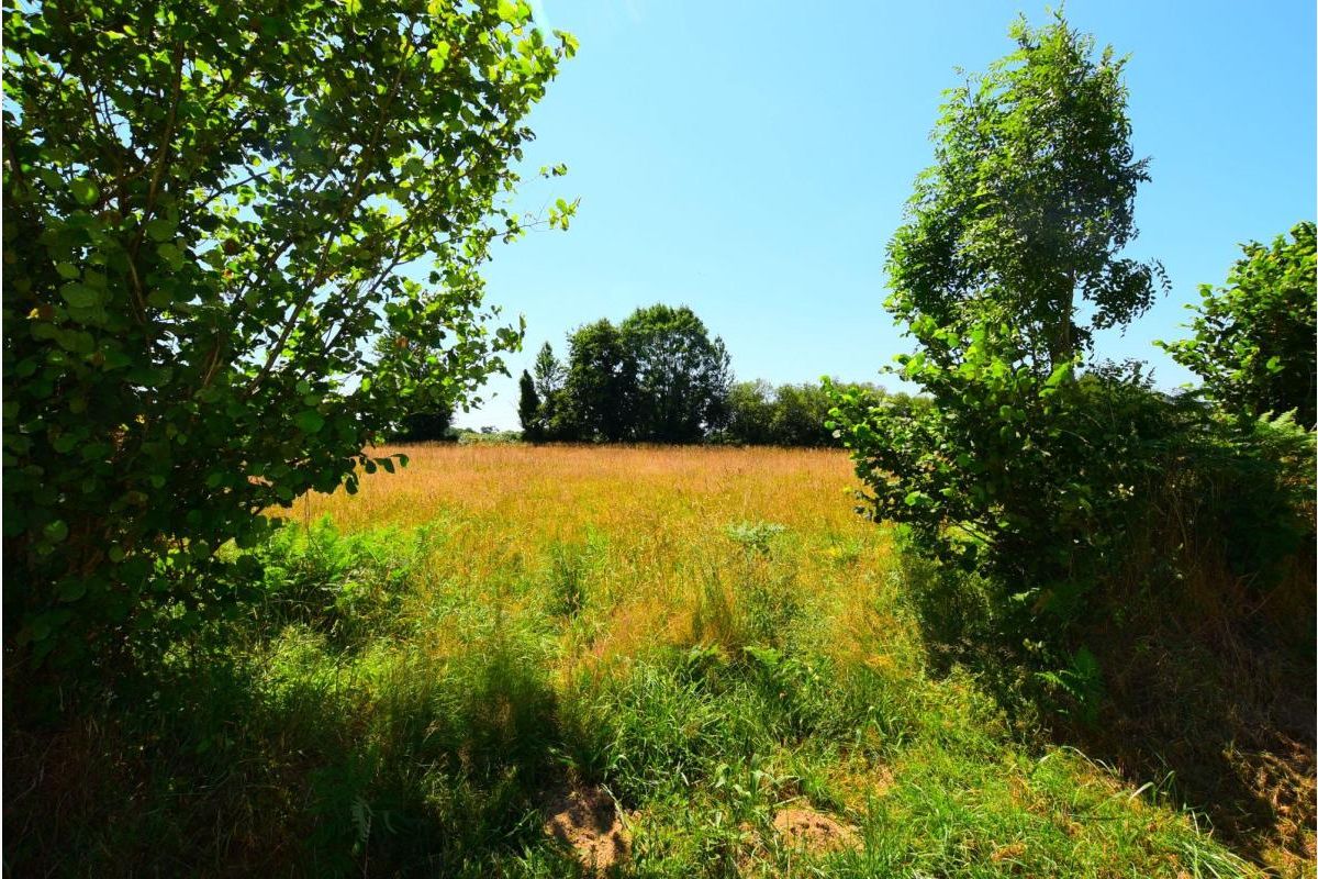 Terrain à vendre Cerisy-la-Salle - 30250368_1.jpg