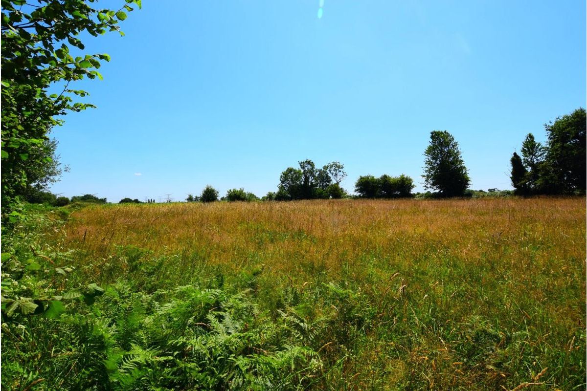 Terrain à vendre Cerisy-la-Salle - 30250368_3.jpg