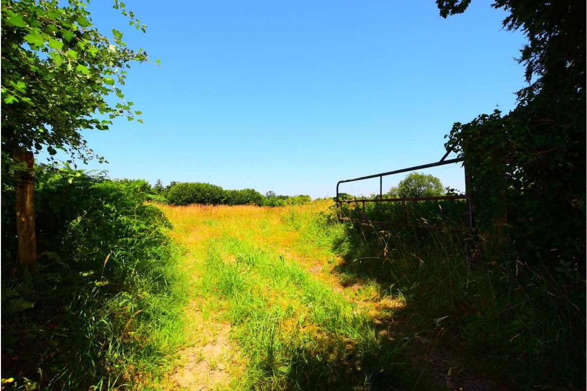Terrain à vendre Cerisy-la-Salle - 30250368_4.jpg