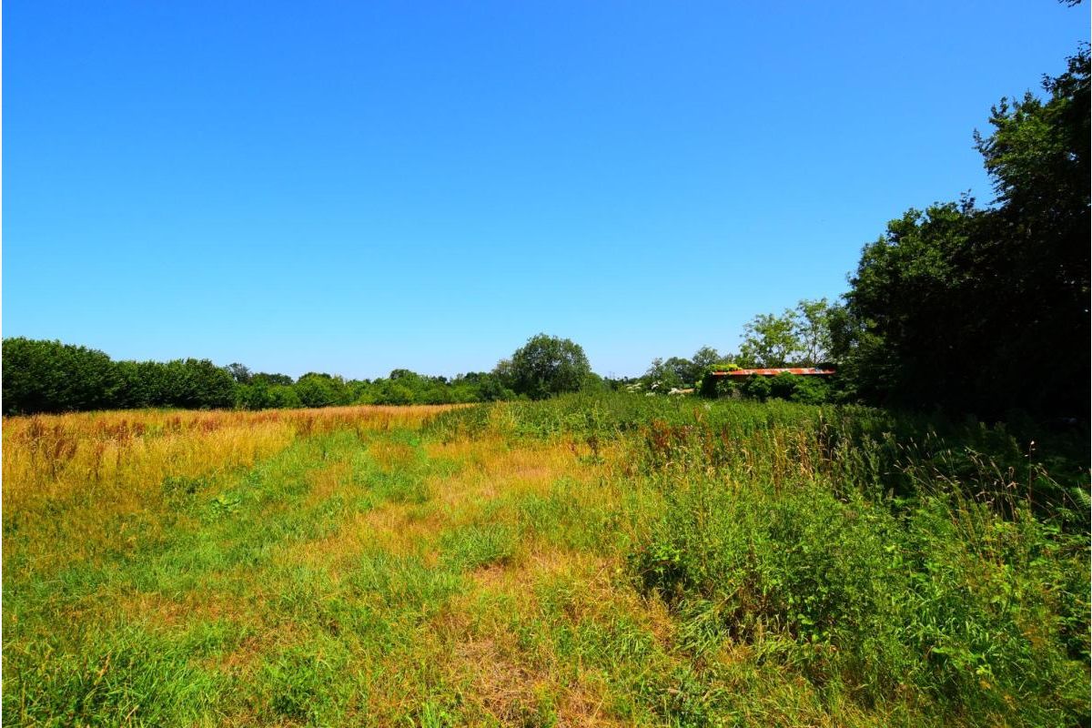 Terrain à vendre Cerisy-la-Salle - 30250368_5.jpg