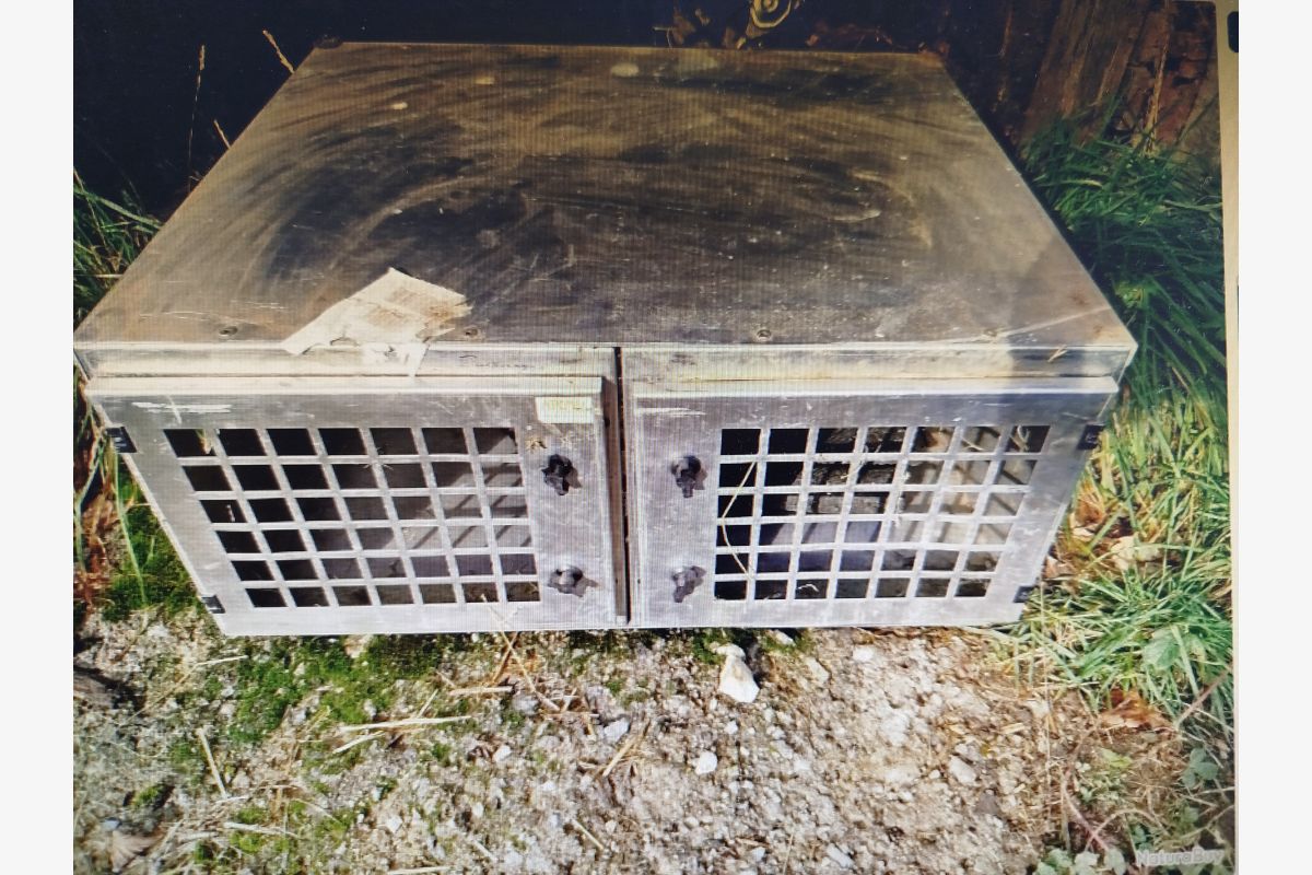 Photo 1 Caisse à chiens Atemis