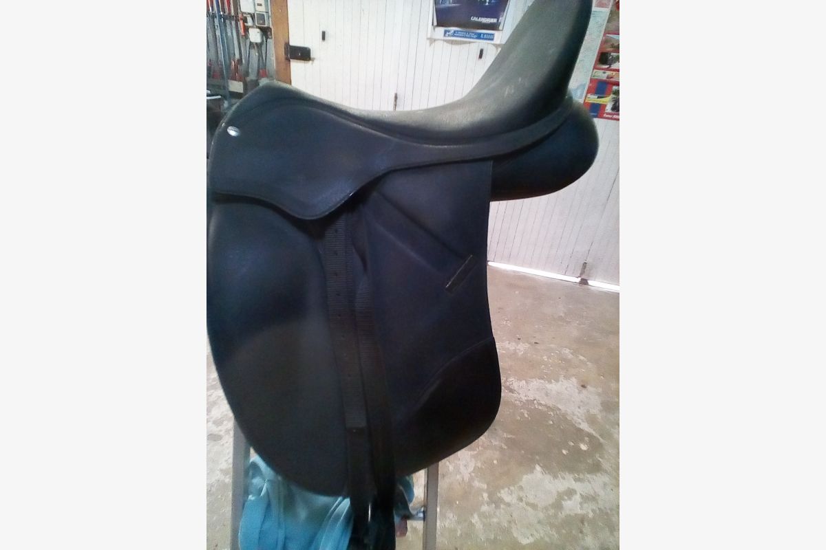Selle d'équitation - 30250817_c5a132f983383d5941cdb5605d51ab35.jpg