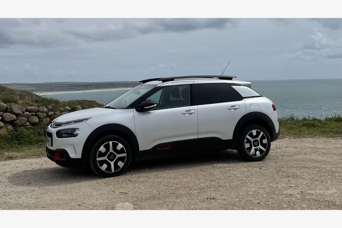 C4 Cactus, essence - 30252057_8a1dff2a6fddecd7822035af0c5c7c7a.jpg