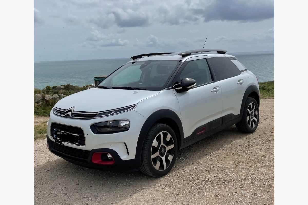 C4 Cactus, essence - 30252057_ad1660140748bca0219489d9945302da.jpg
