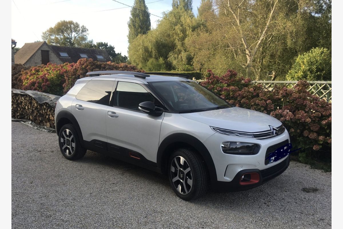 Photo 1 C4 Cactus, essence