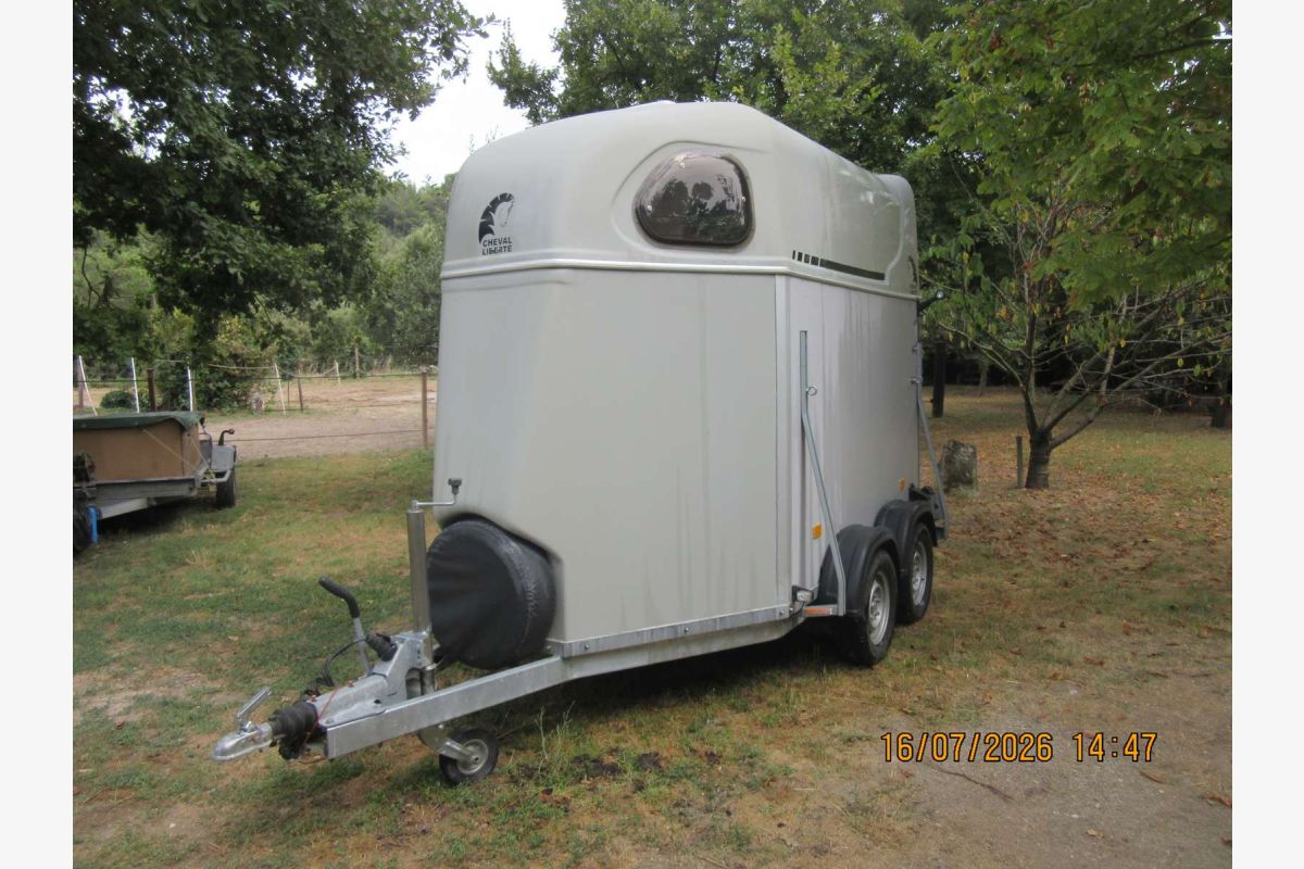 Photo 1 VAN deux chevaux
