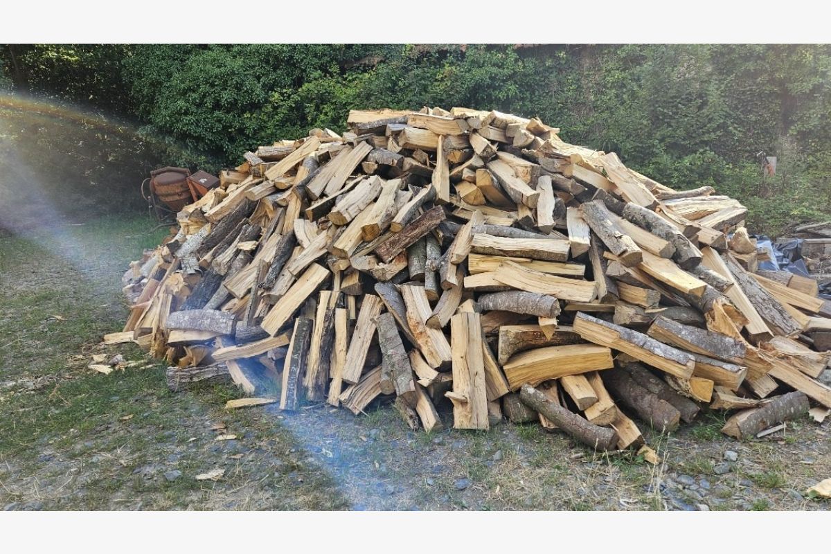 Photo 1 Plusieurs stères de bois 