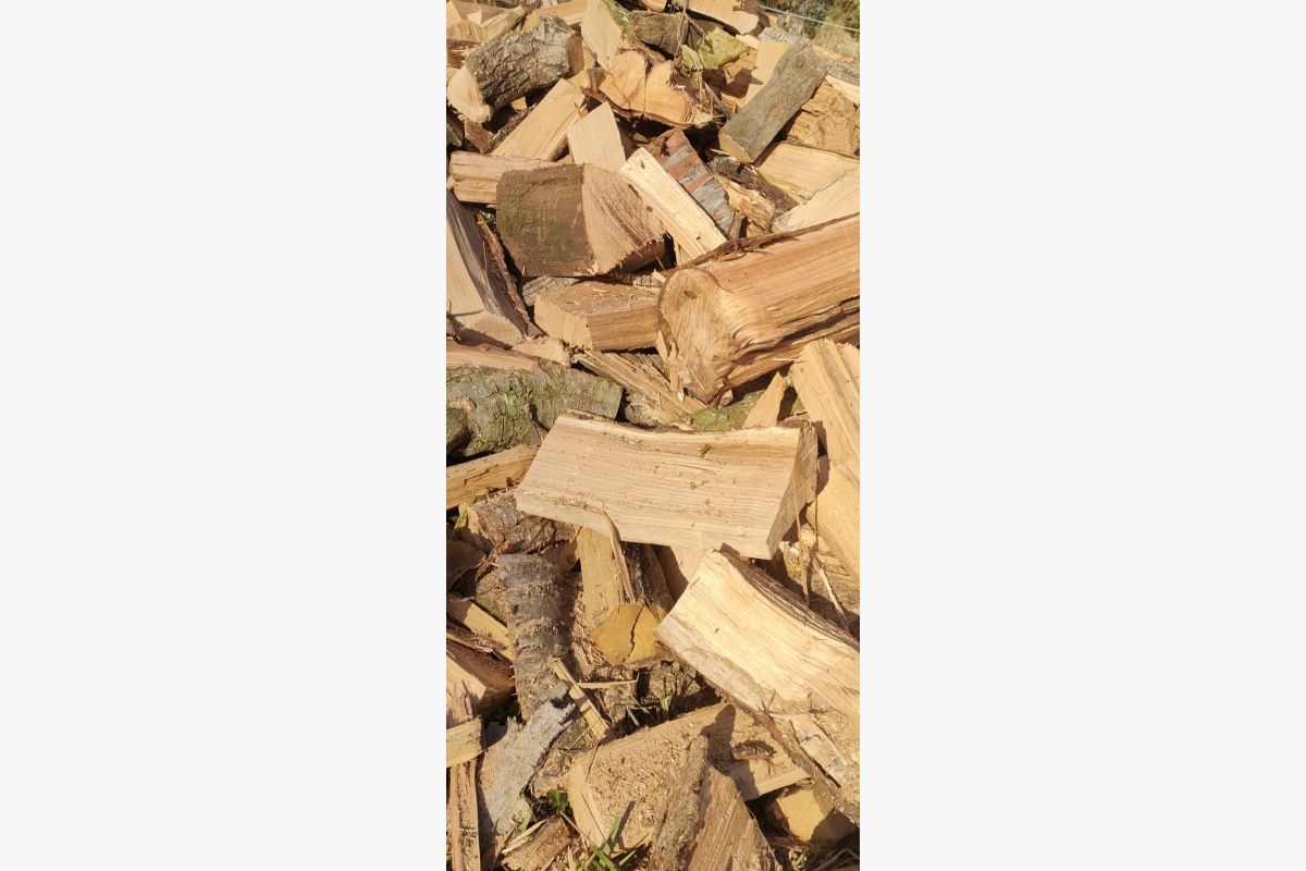 Photo 1 Bois de chauffage 