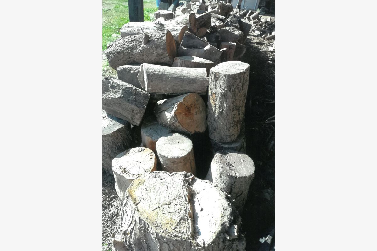 Photo 1 Bois de chauffage