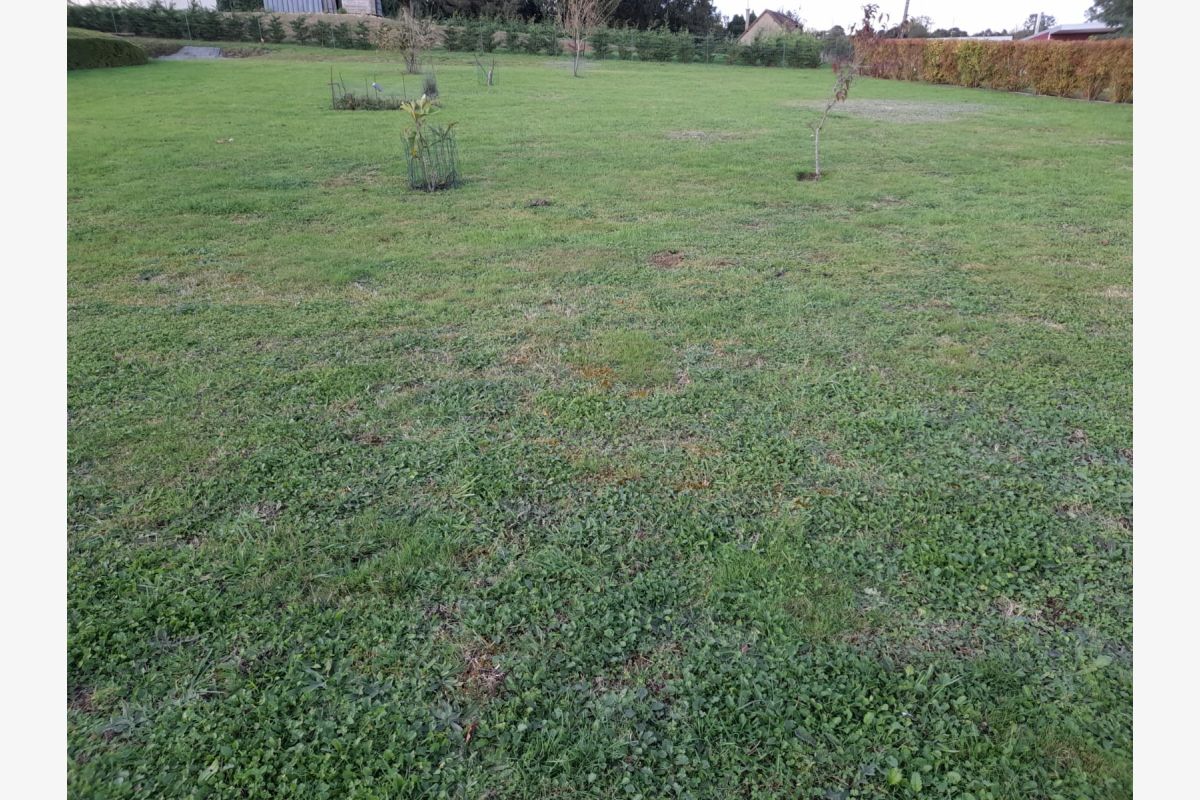 Tessy-Bocage, Pont-Farcy, à vendre maison... - 30253050_d8bccf74d6efa61bdcc1e9fd69553820.jpg