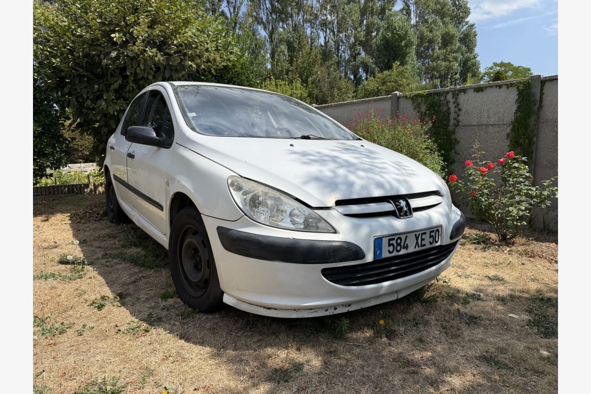 Photo 1 Peugeot 307