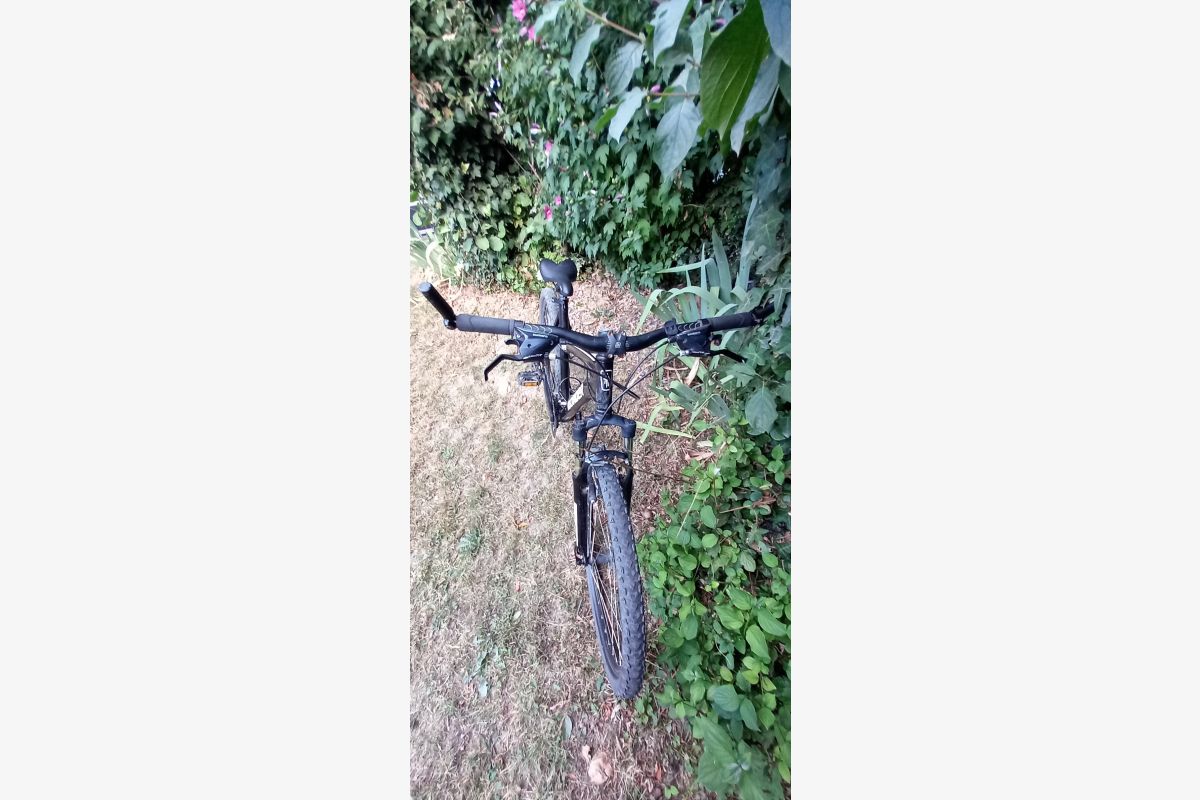 Vélo - 30253289_c2aa0b95d5cff33a198a629006876a23.jpg