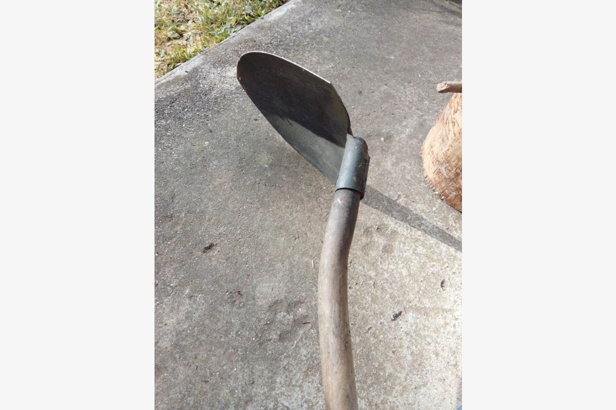 Pelle pour vos travaux - 30253398_8ababb33f8a611f5994676688cffd686.jpg