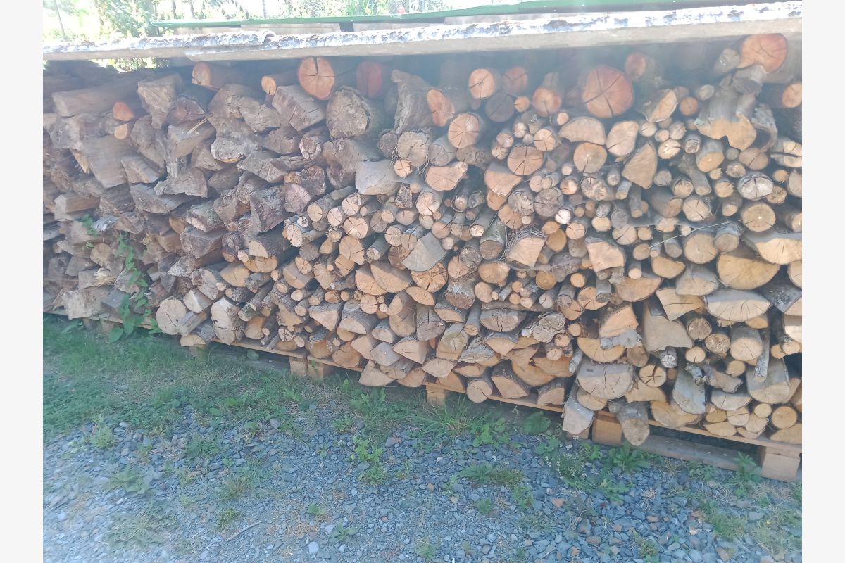Photo 1 Bois de chauffage 