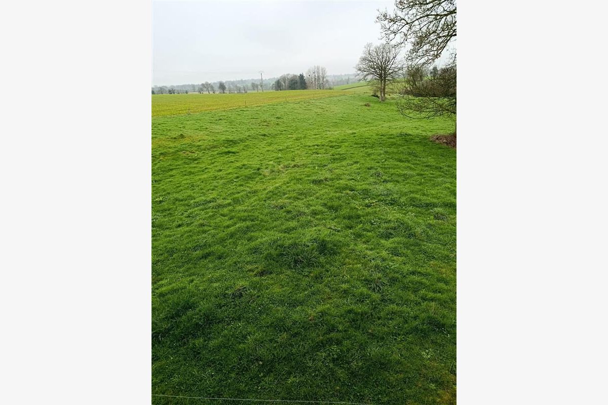 Maison à vendre Notre-Dame-de-Cenilly - 302536_13.jpg