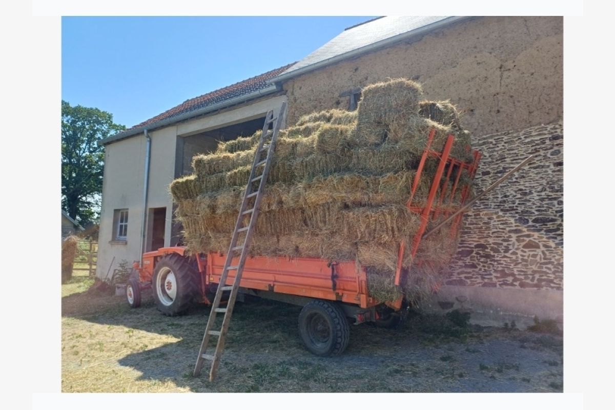Photo 1 Foin en balles