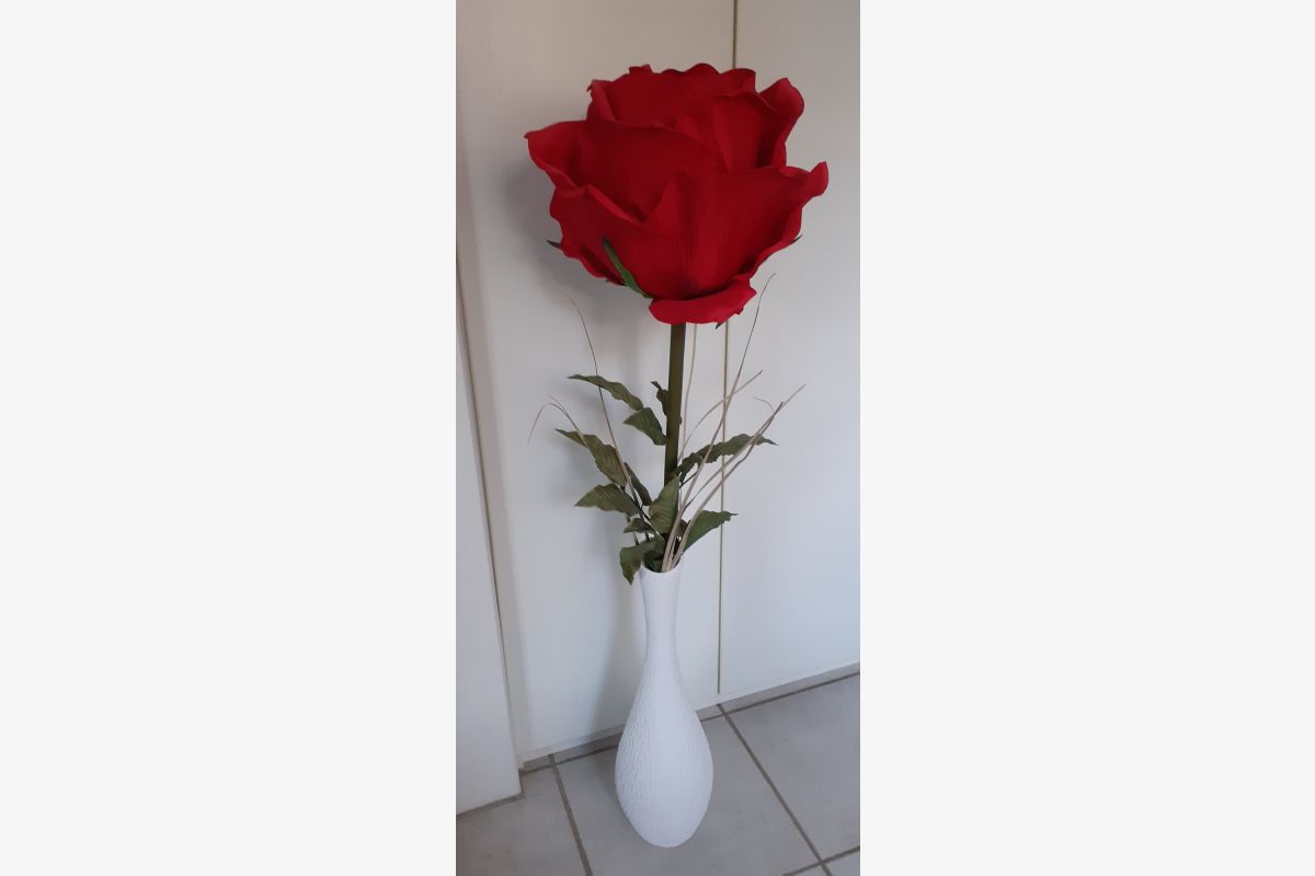 Photo 1 vente