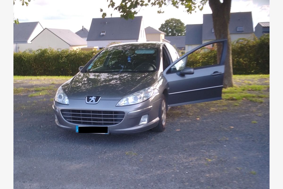 Photo 1 407 HDi 110 cv