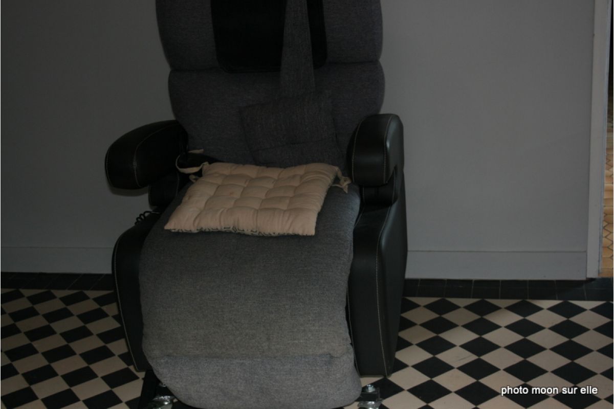 Photo 1 Vends fauteuil releveur