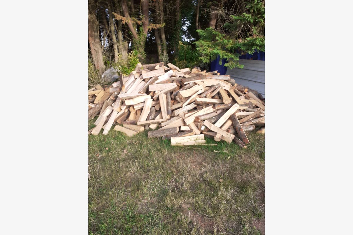 Photo 1 Bois de chauffage