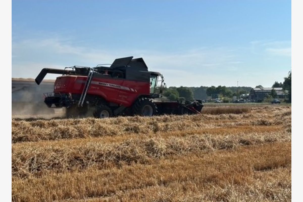 Offre d'emploi - rech. salarié agricole - 30256640_c0d3621a9e8a2586dff1ce6ff9108566.jpg