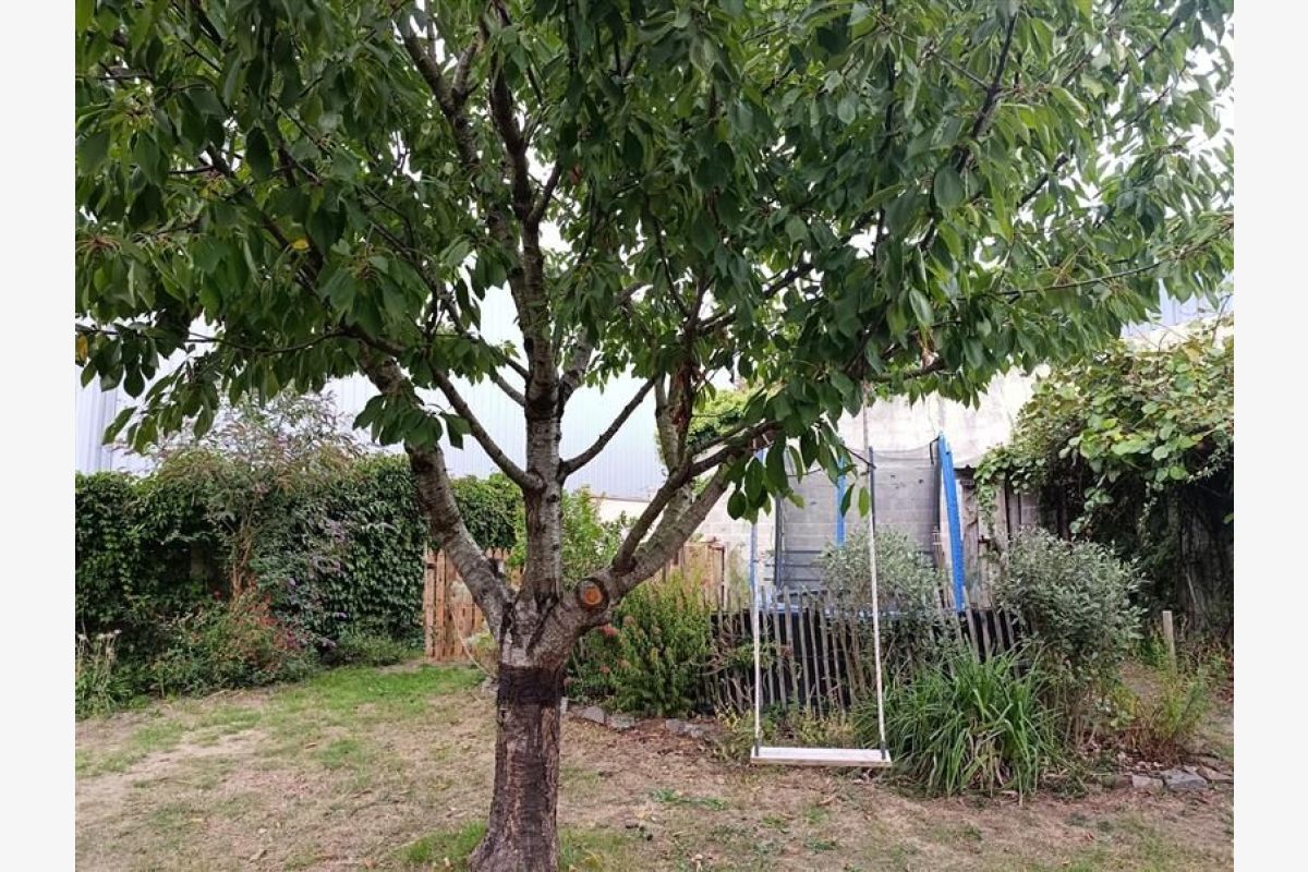 Maison à vendre Lingreville - 30256689_12.jpg