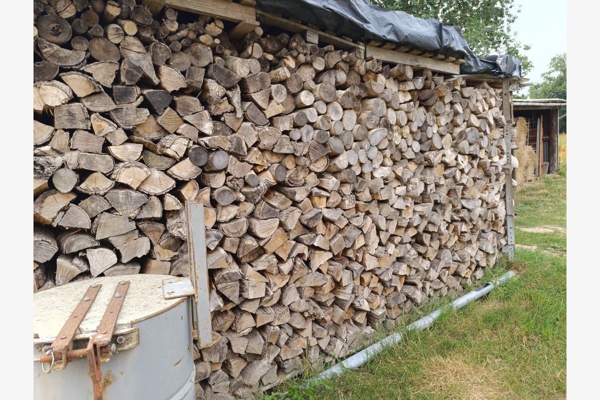 Photo 1 Bois de chauffage 