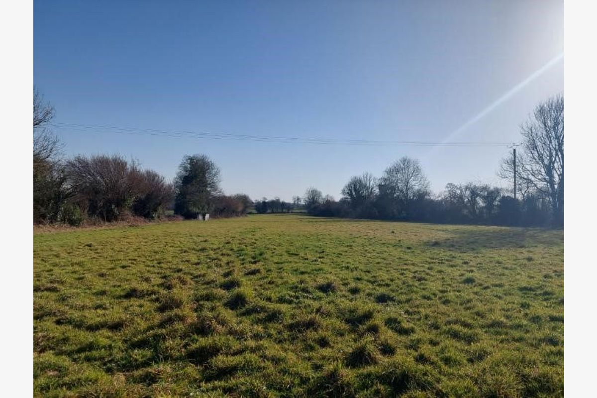 Maison avec 2 hectares et dépendances - 30257304_2.jpg