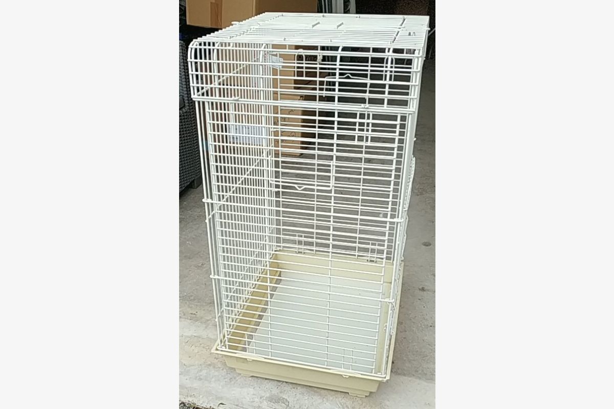 Photo 1 cage  nue