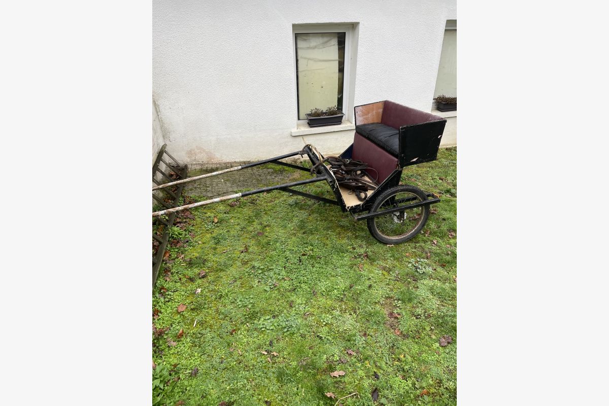 Charrette pour petit poney  - 30258997_b1a6498b7c29405a39f6a429bf854f76.jpg