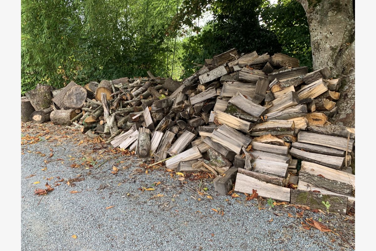 Photo 1 Bois de chauffage