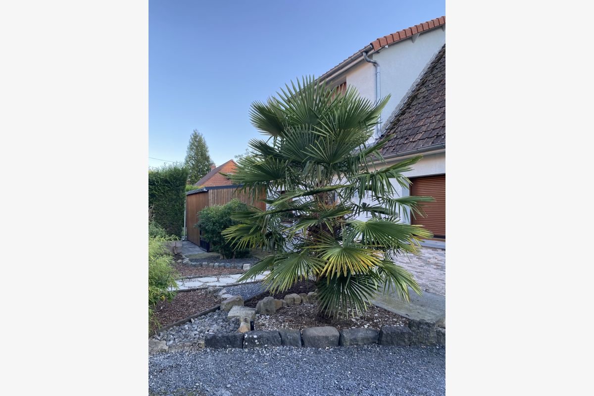 MAISON INDIVIDUELLE A LA CAMPAGNE - 30260086_a72d9f524c5e5f855b2935e233ba46f3.jpg