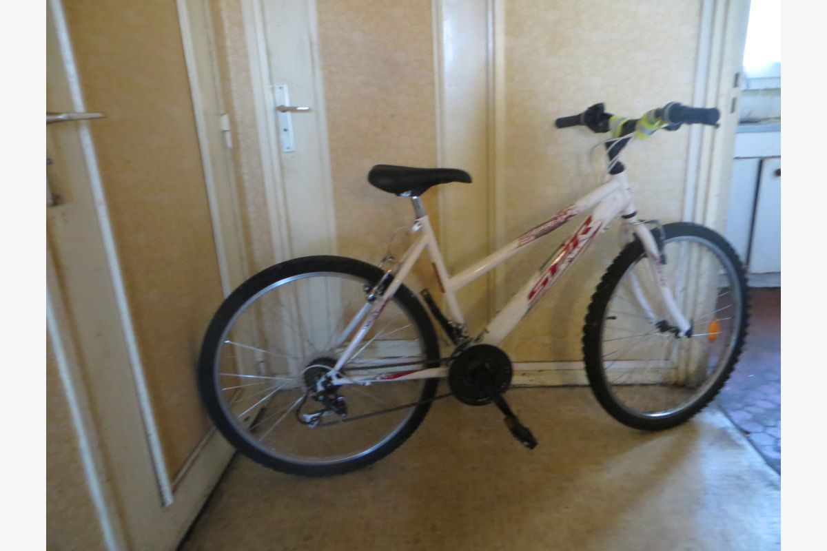 Photo 1 Vélo homme