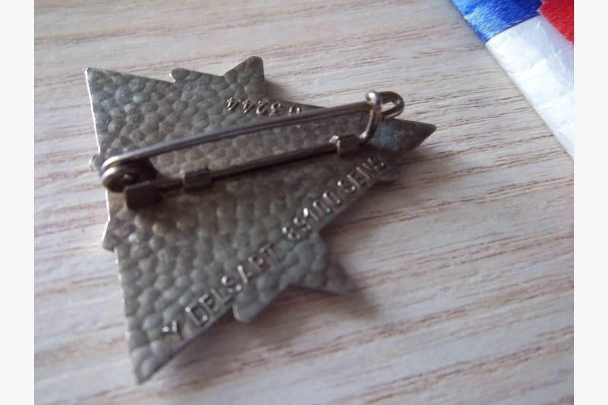 insigne militaire 51° régiment de transmissions - DELSART G 3244 collection vintage - 30261395_d7ab222179a99d95b240857809059ff5.jpg