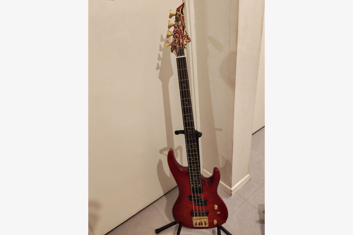 Lot instruments de musique (électrique)  - 30261410_5c585d2f10646855c0c081b1bcecbe32.jpg