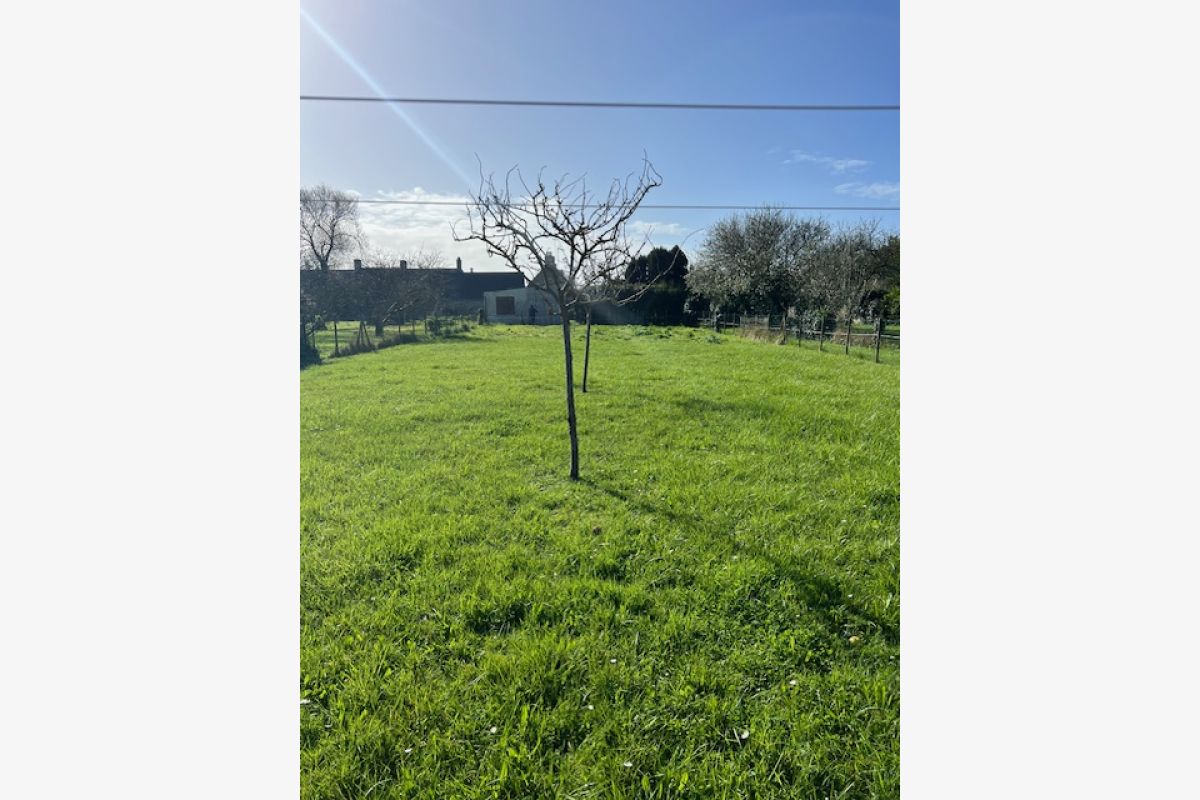 Photo 1 Terrain constructible 760 m2