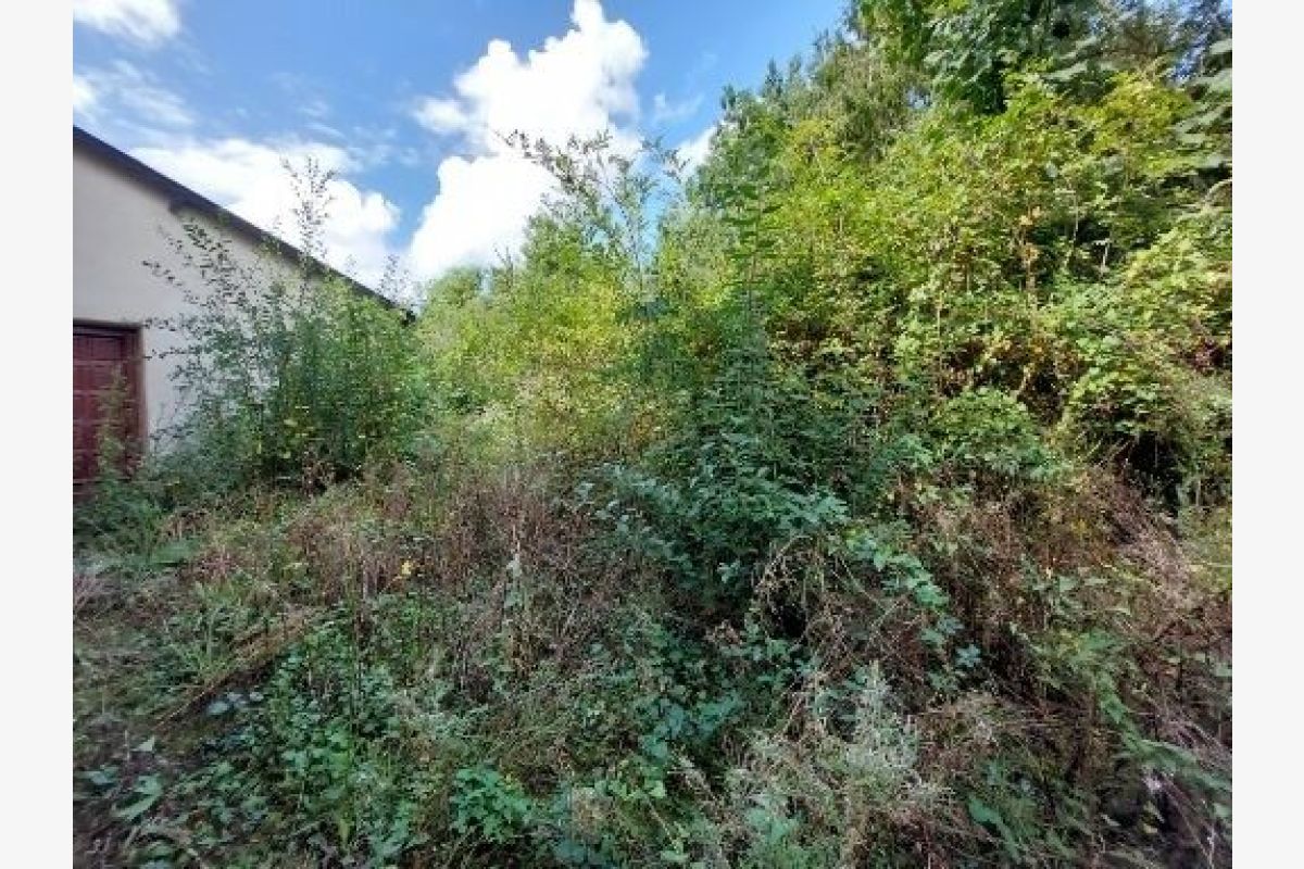 Ensemble de deux maisons - 302831_16.jpg