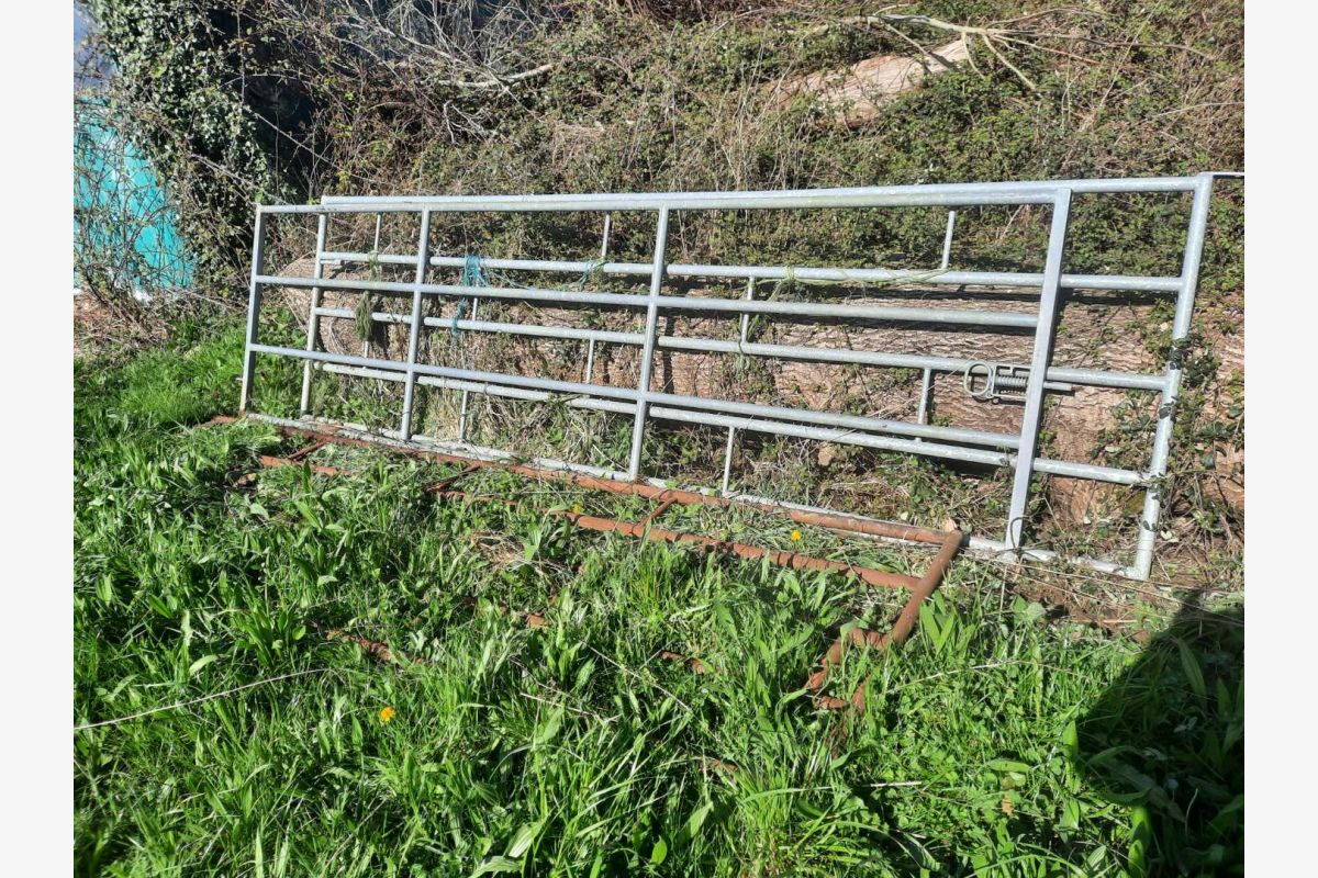 Photo 1 Barrière de stabulation 