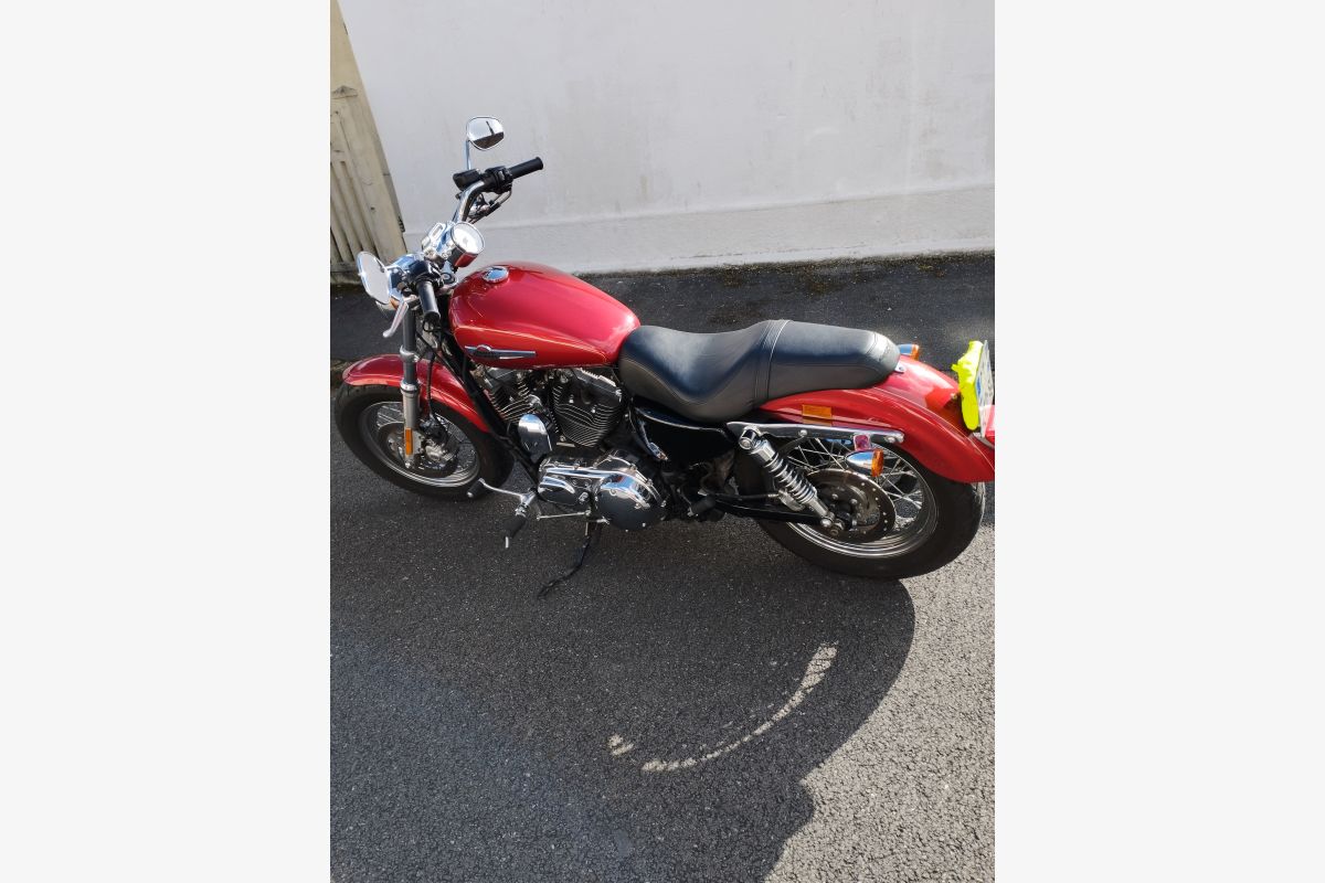 Très belle moto Harley Sporter 1200 Custom  - 56877_1.jpg
