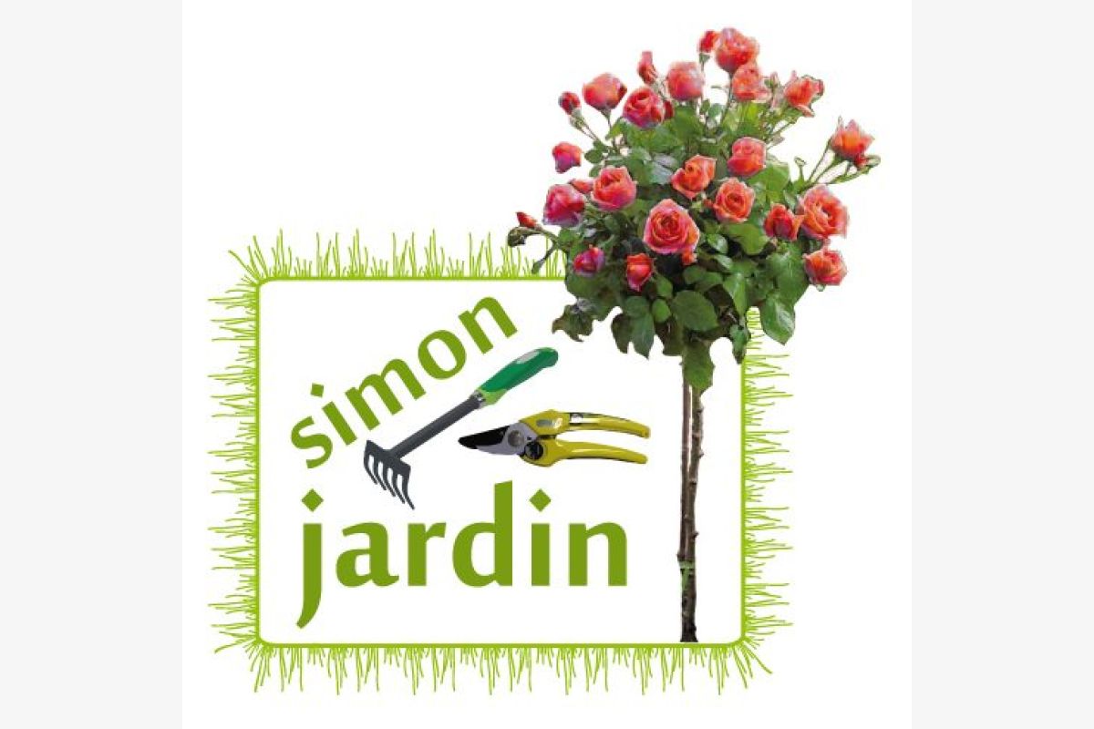 Homme propose ses services de jardinage et peinture  - 67889_1.jpg