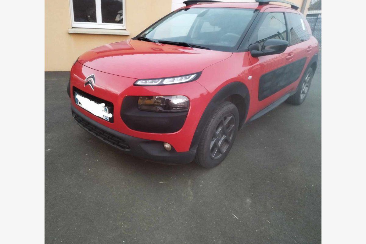 C4 Cactus rouge  - 89273_0.jpg